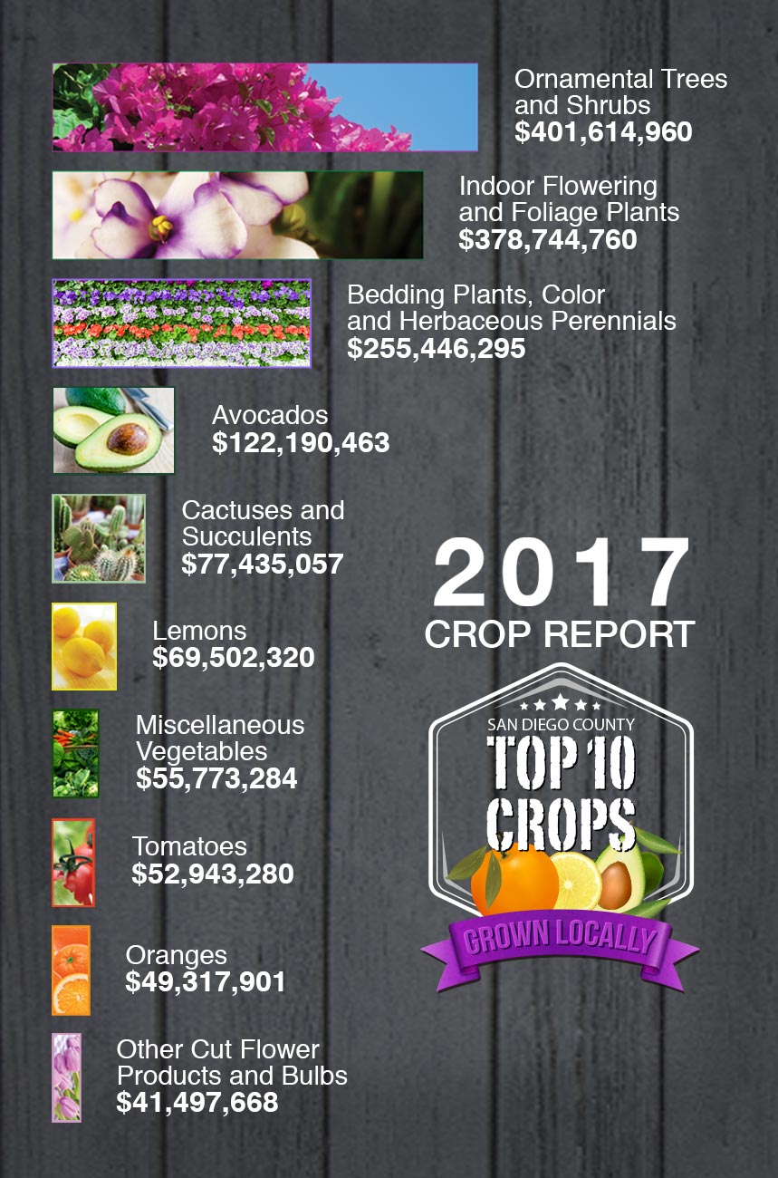 2017 Crop Report Top 10 Crops