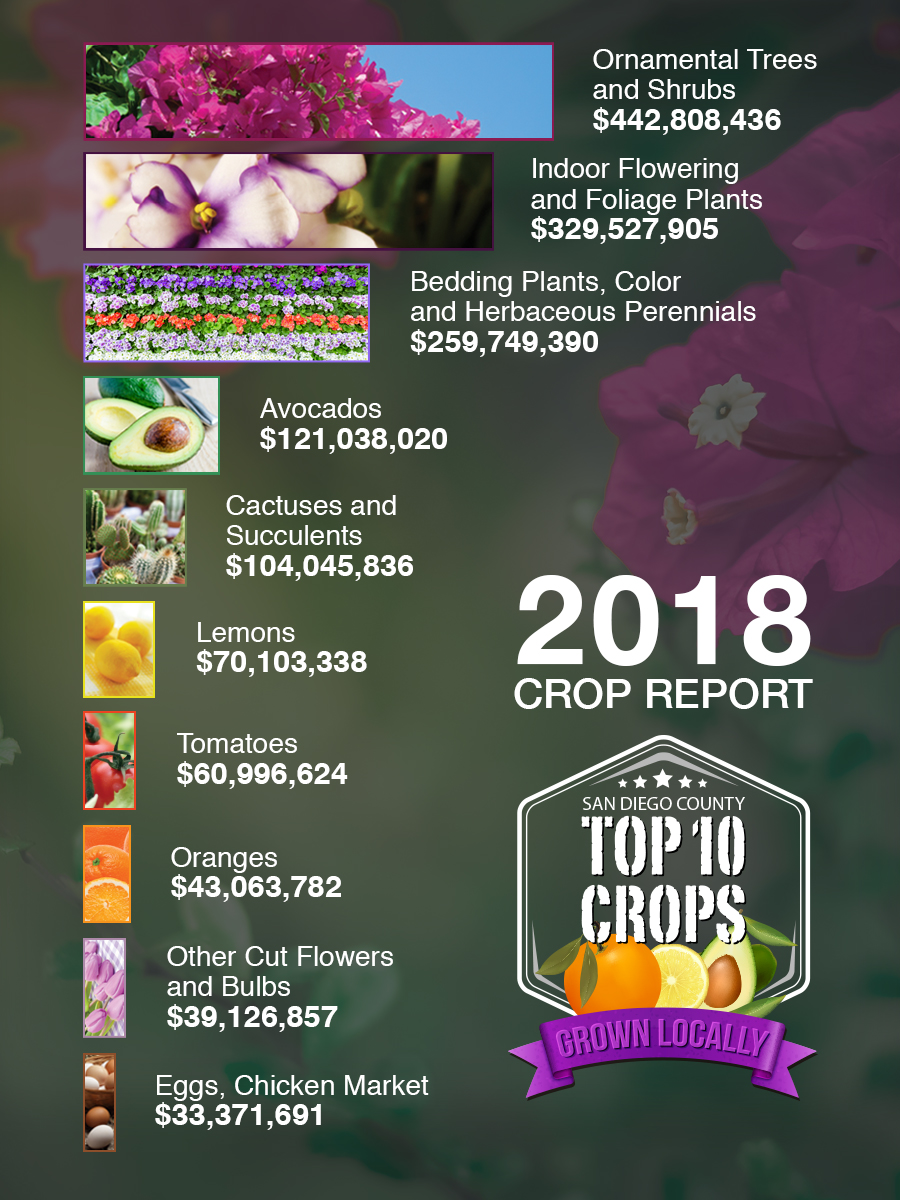 2018 County of San Diego Crop Report Graph