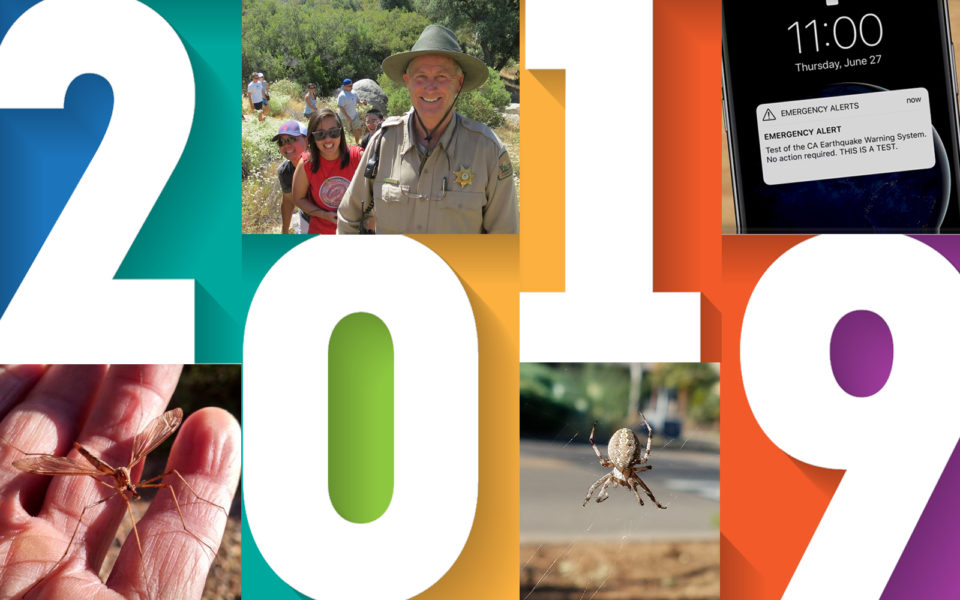 2019 CNC stories collage