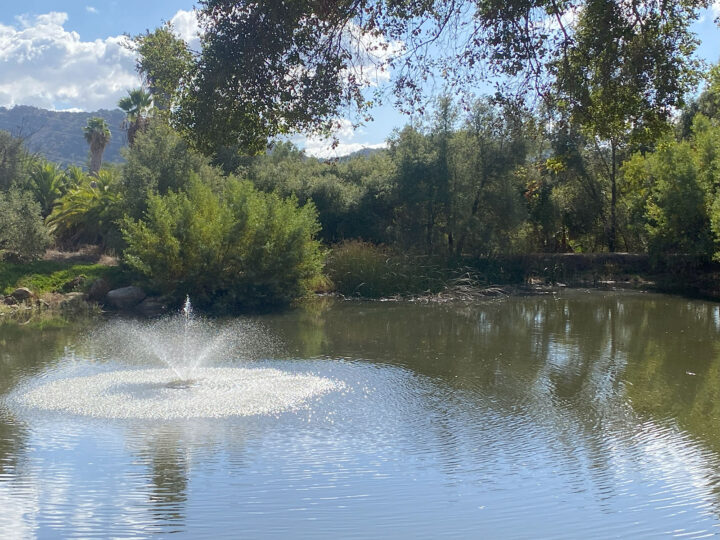 Butterfield Trails County Park Open House