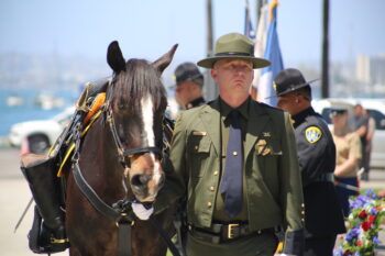 a uniformed officer walks alongside a horse