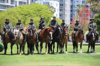 8 uniformed officers on horseback