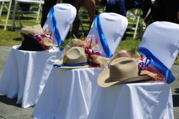 3 hats sit on empty chairs