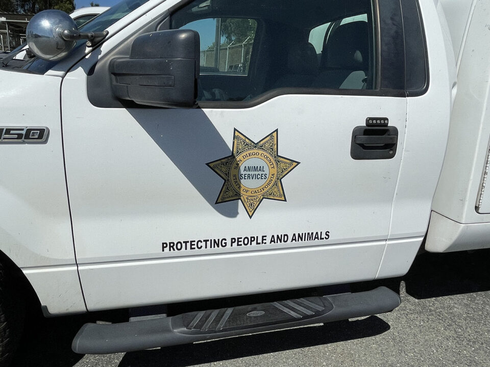 Animal Services truck door with logo