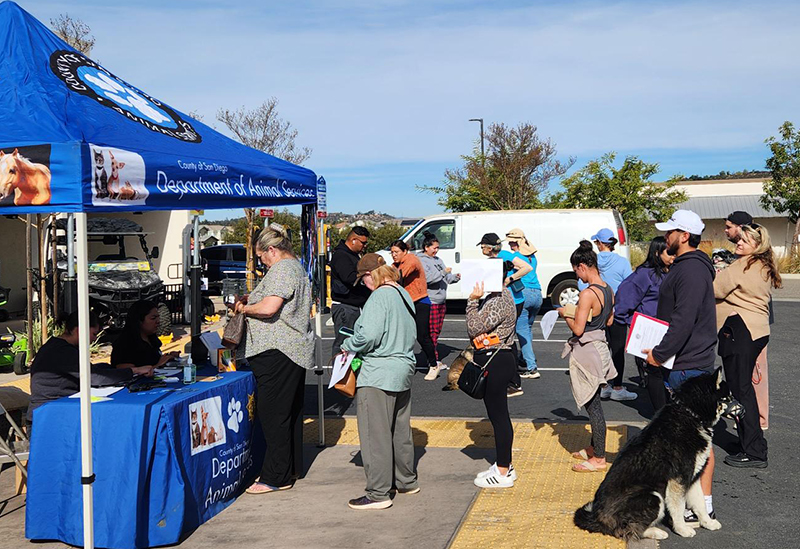 Pet owners lined up for free services 