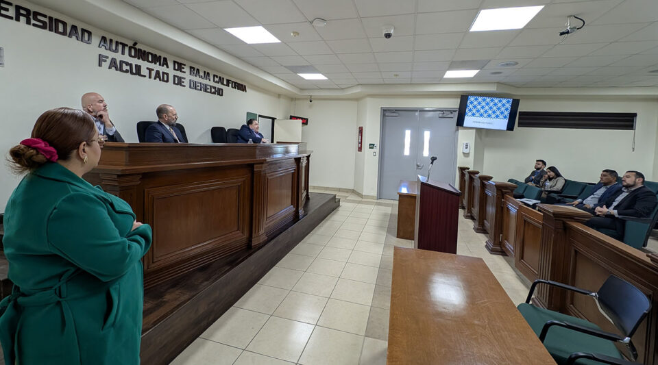 Woman in court before a panel of public defenders serving as judges