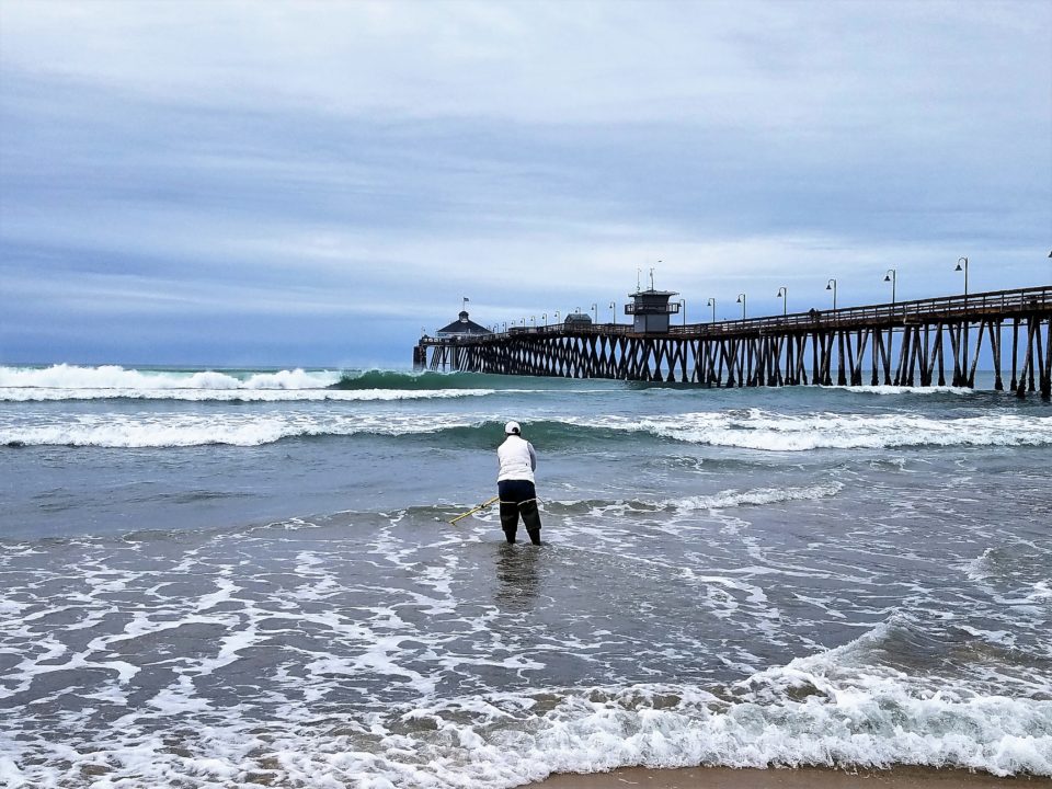 Beach water quality testing