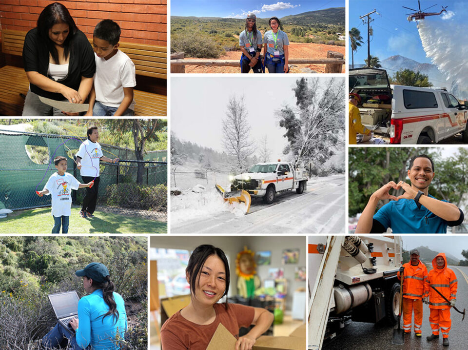 collage of employees working