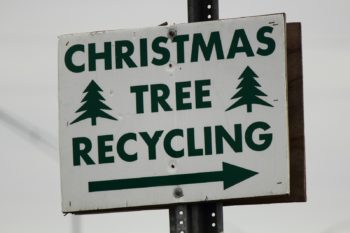 Christmas Tree Recycling sign
