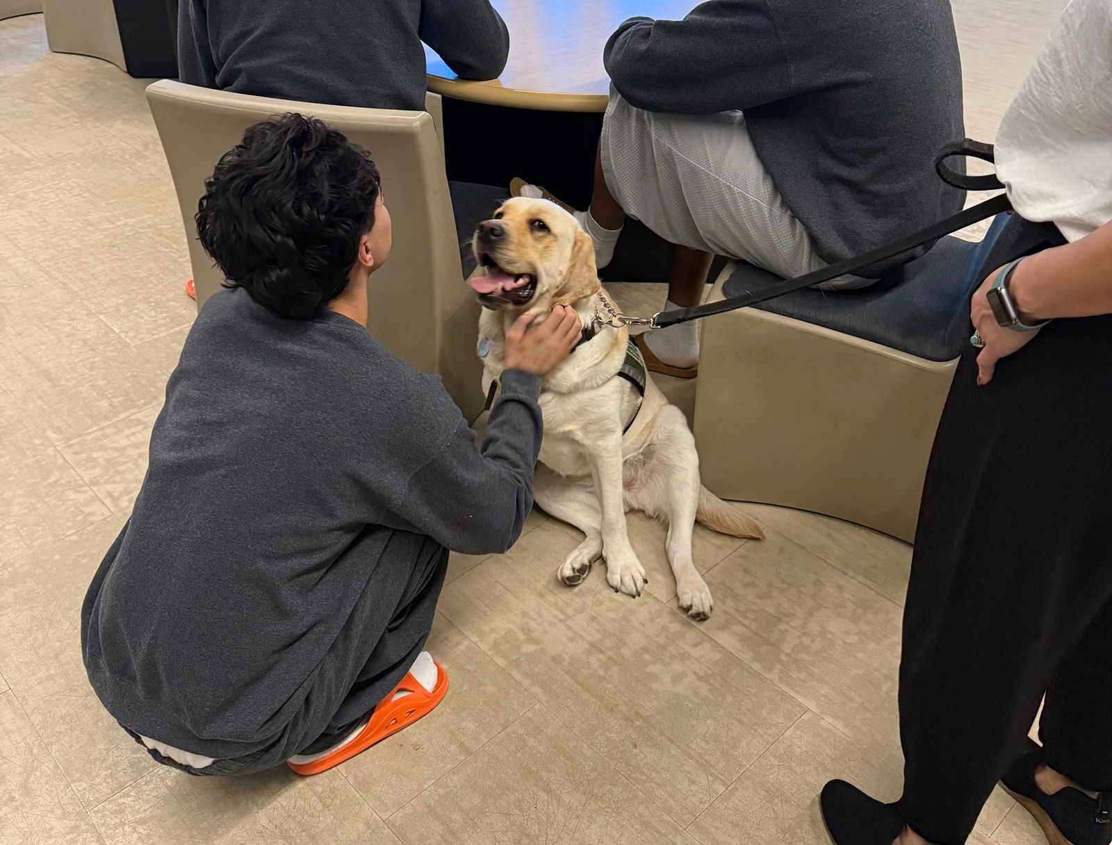 therapy dog and youth