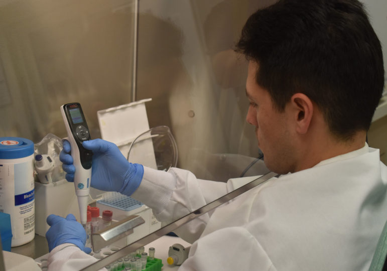 Photo of a lab technican testing a COVID-19 sample