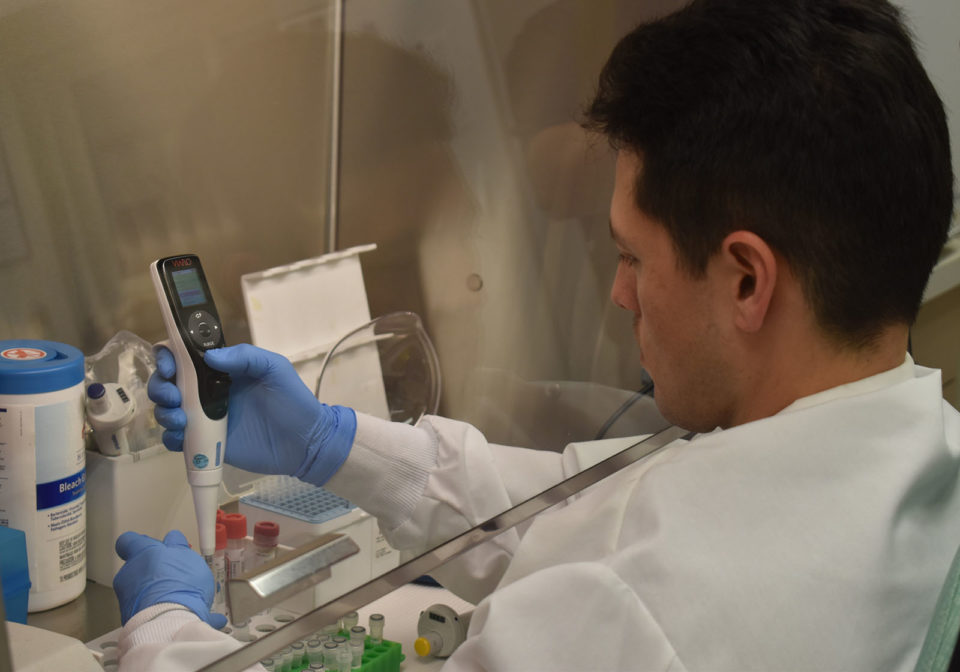 Photo of a lab technican testing a COVID-19 sample