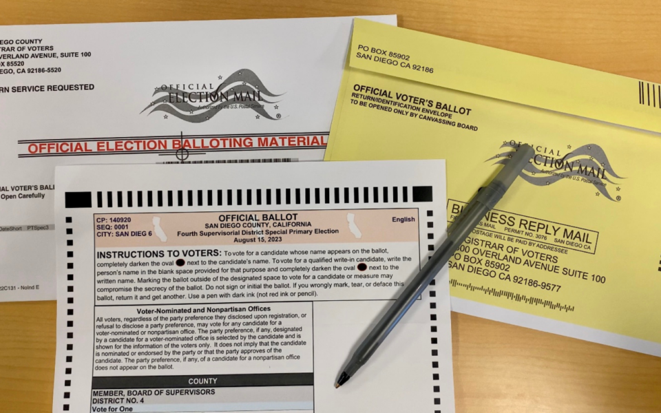 official voter's ballot