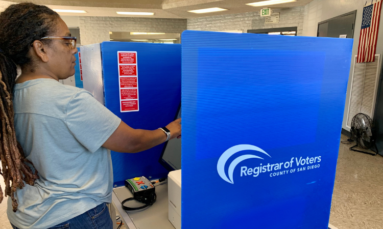 person stands at a voting booth