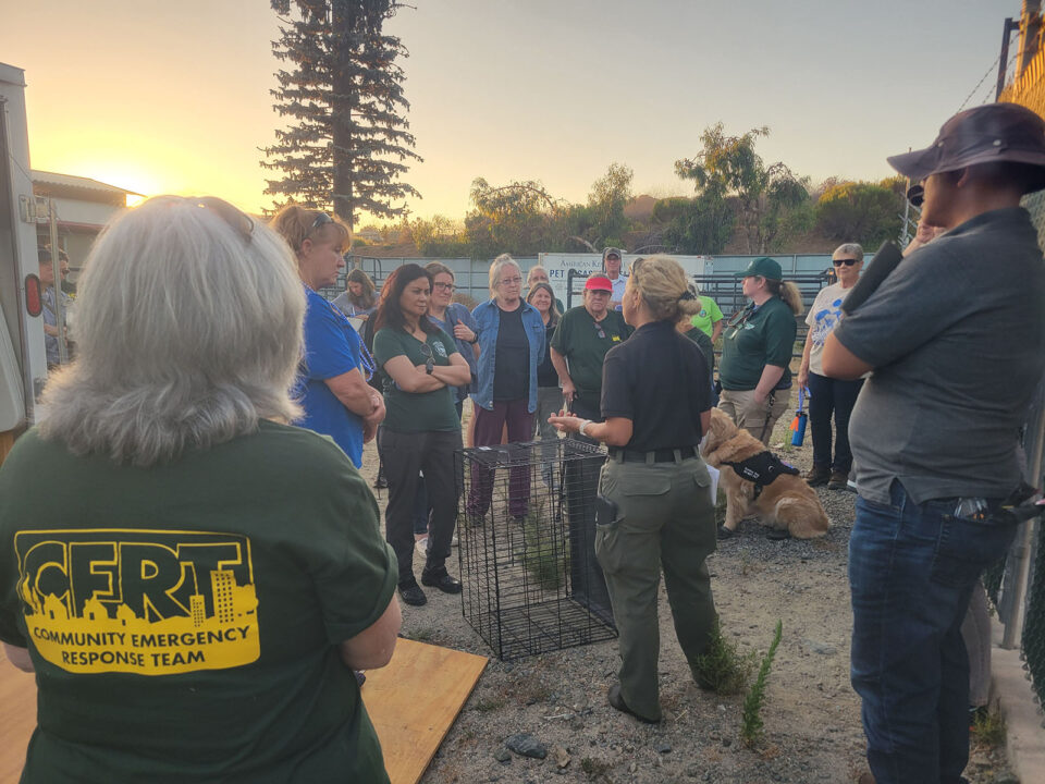 Volunteers train to help animals.
