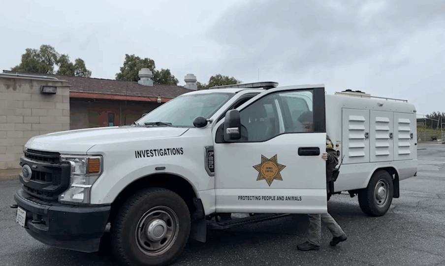 Animal Service vehicle with "investigations" on the side