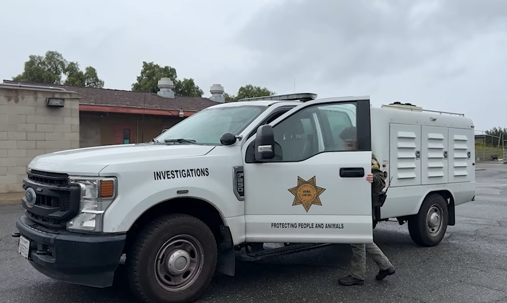 Animal Service vehicle with "investigations" on the side