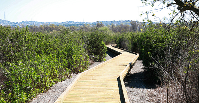 DairyMartLoopBoardwalk