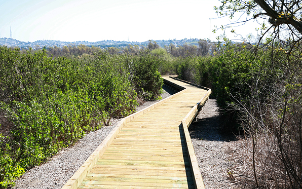 DairyMartLoopBoardwalk596x373