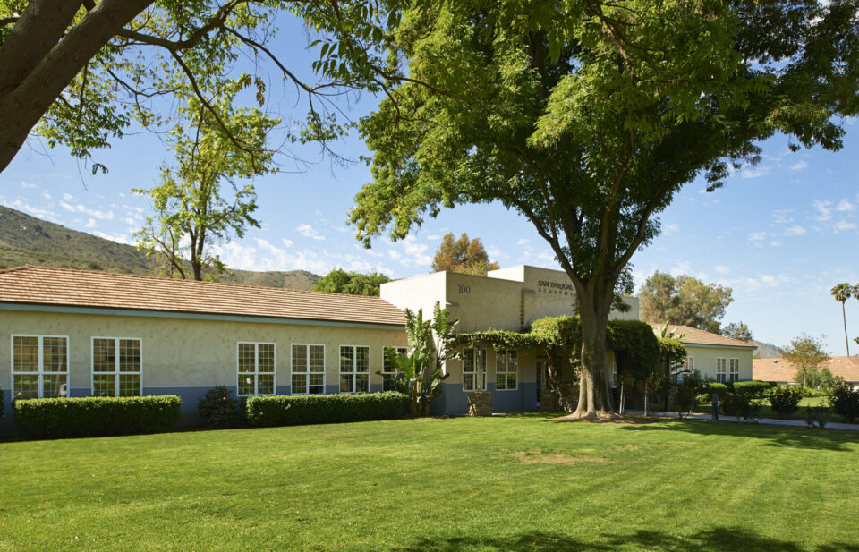 Front school view across green lawn with large tree