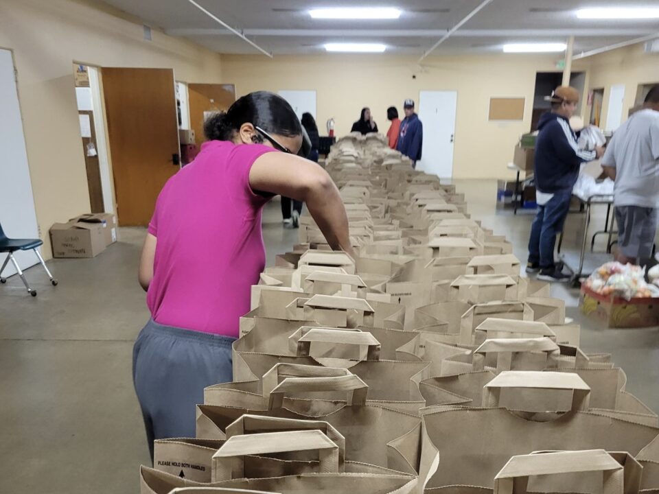 Young lady packing grocery bags