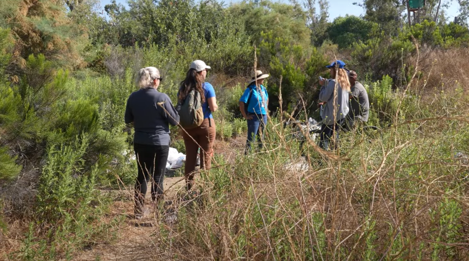 Outreach workers in San Diego Riverbed