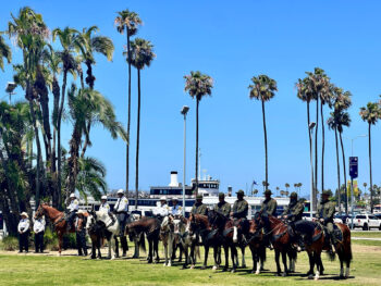 Mounted patrol horses and riders