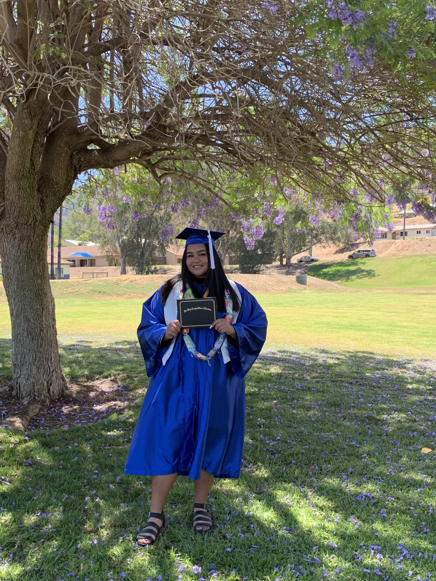 A girl in a cap and gown
