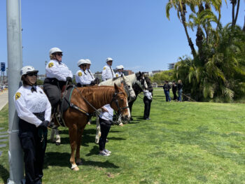 a line people wearing uniforms on horseback