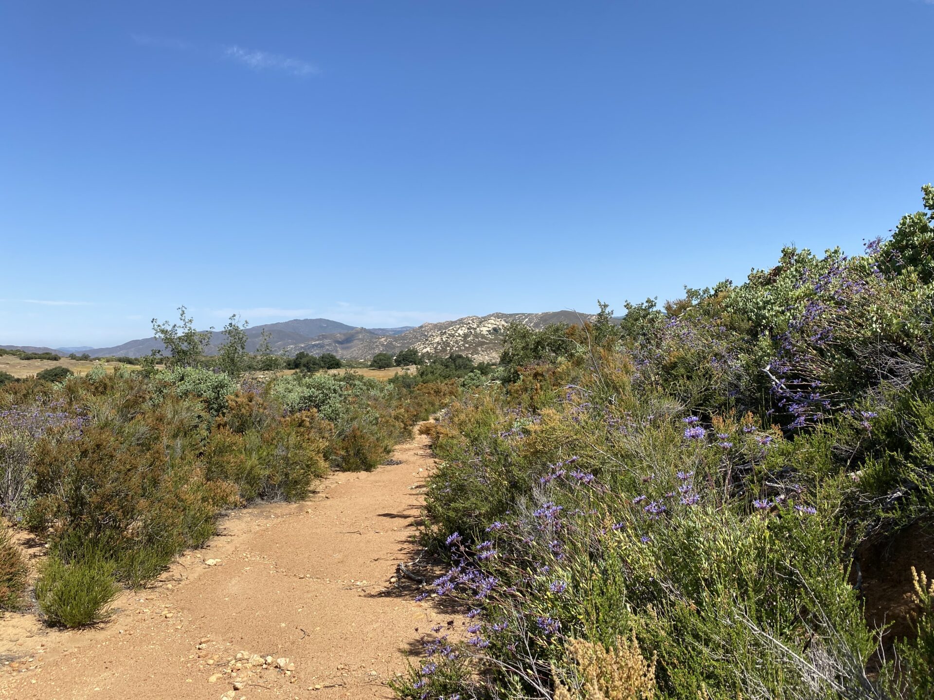 Picture of a trail in a nature preserve.