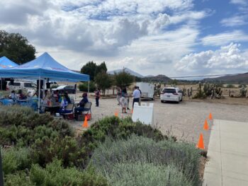 Several pop-up tents in a parking lot with people