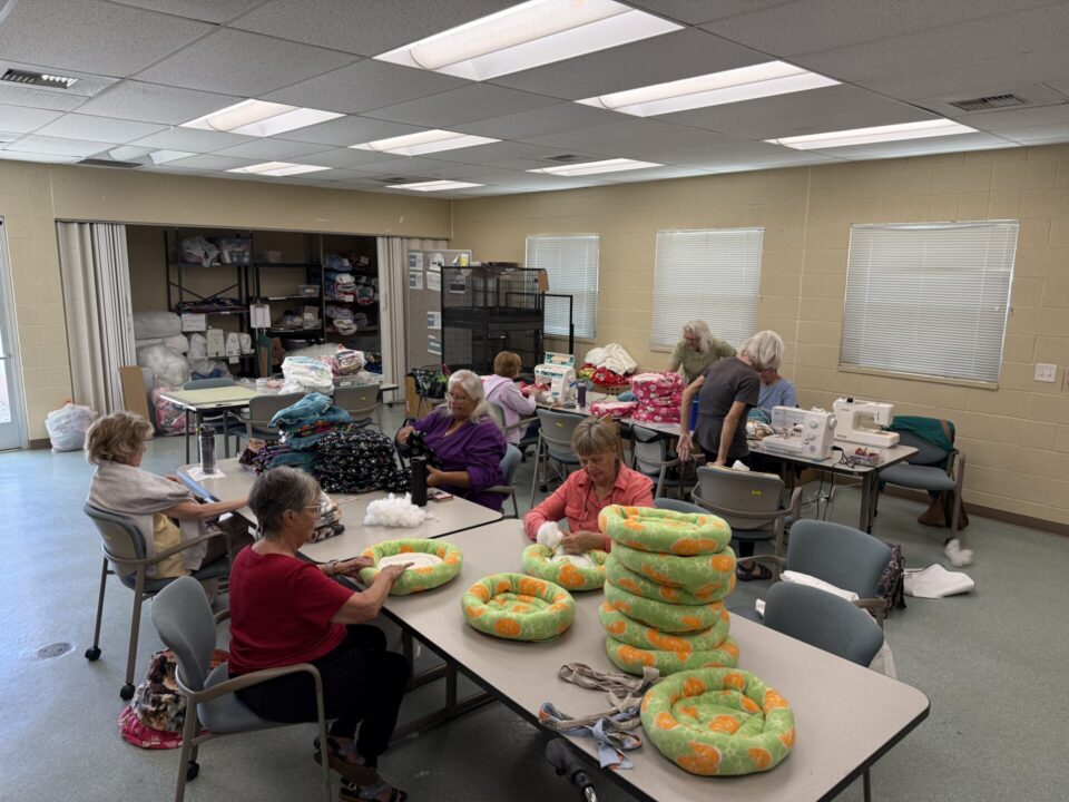 Volunteers make beds for animals