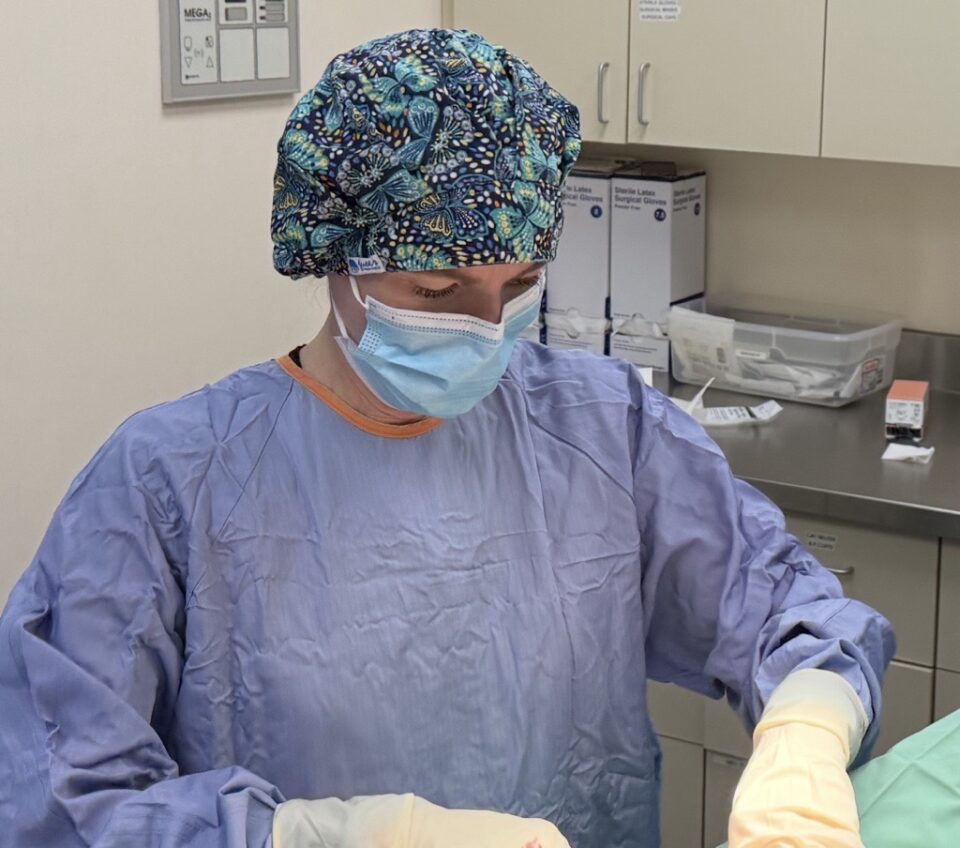 Photo of Dr. Brieana Sarvis performing surgery on an animal.