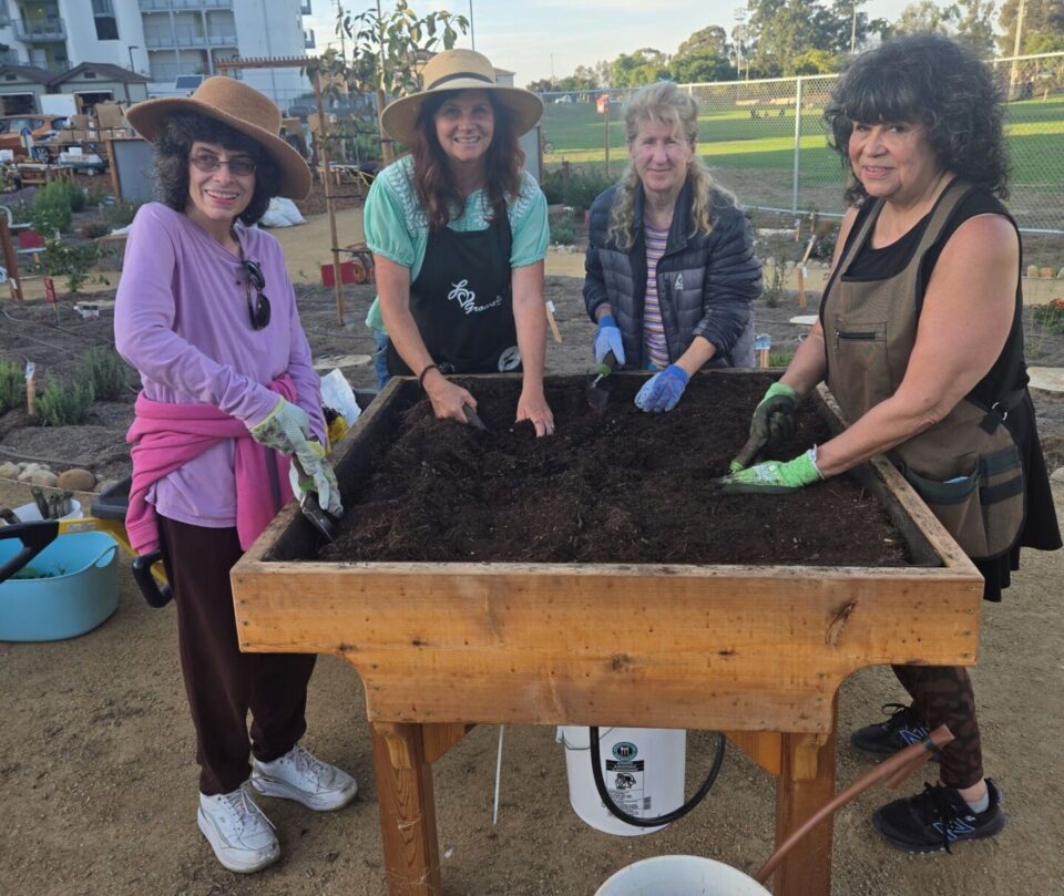 four people dig into an elevated gardening bed