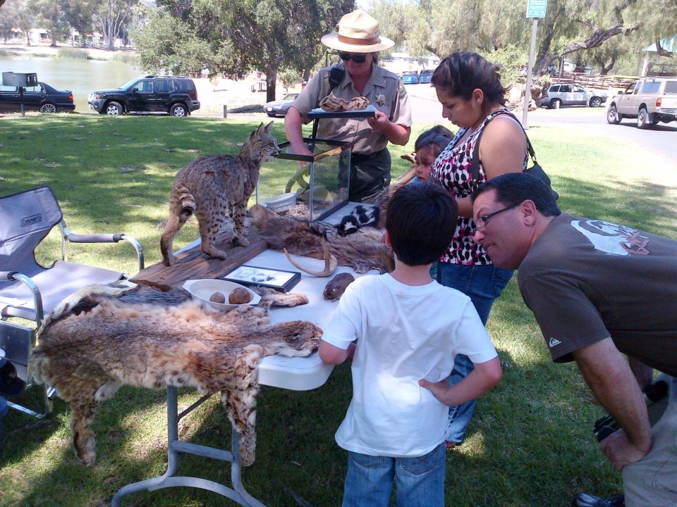 Lindo Lake Touch Table