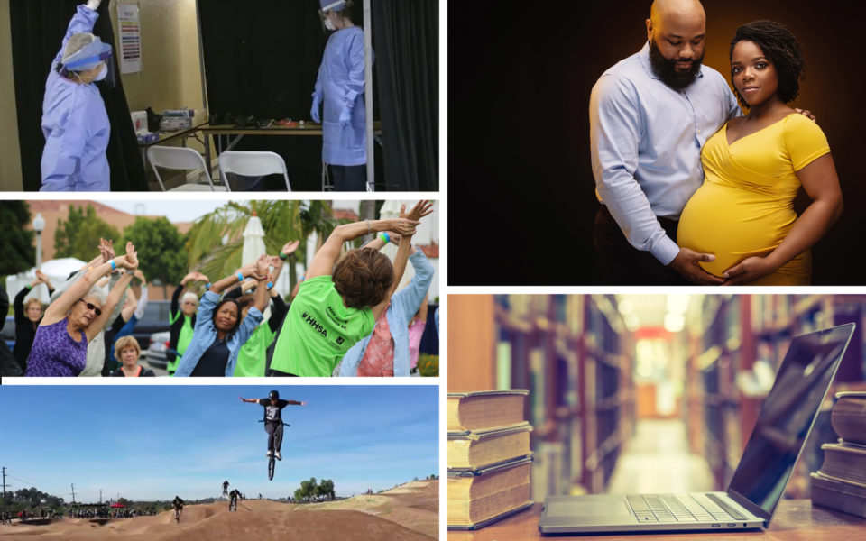 collage of various pics