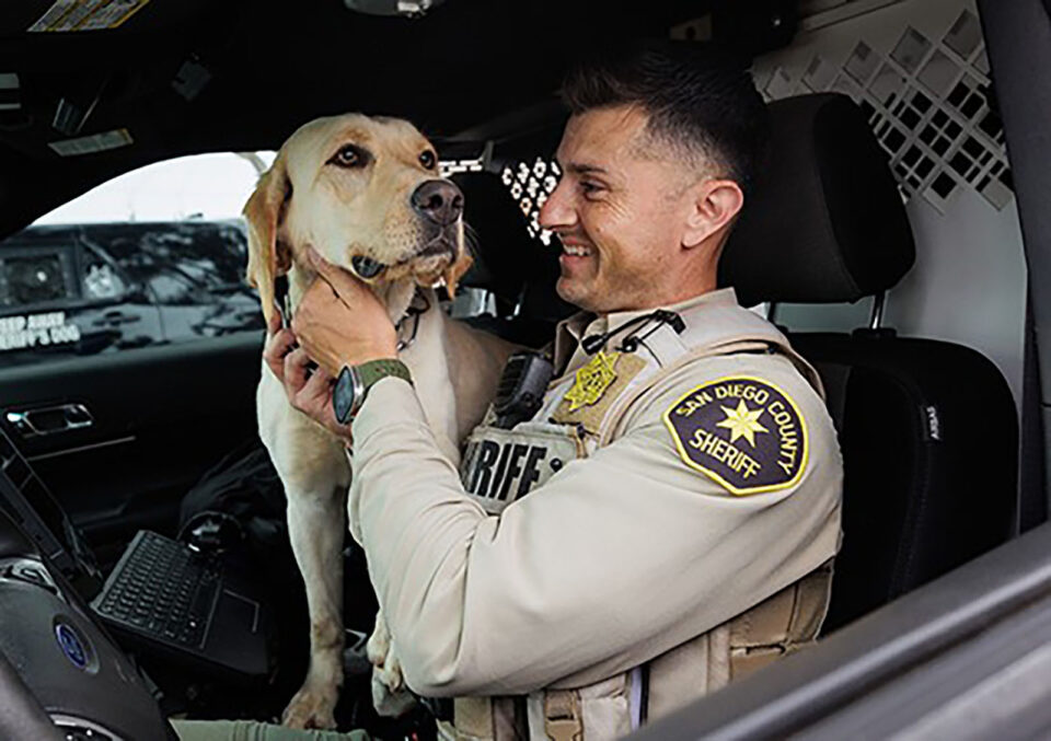 Deputy and K-9 Nalla in car