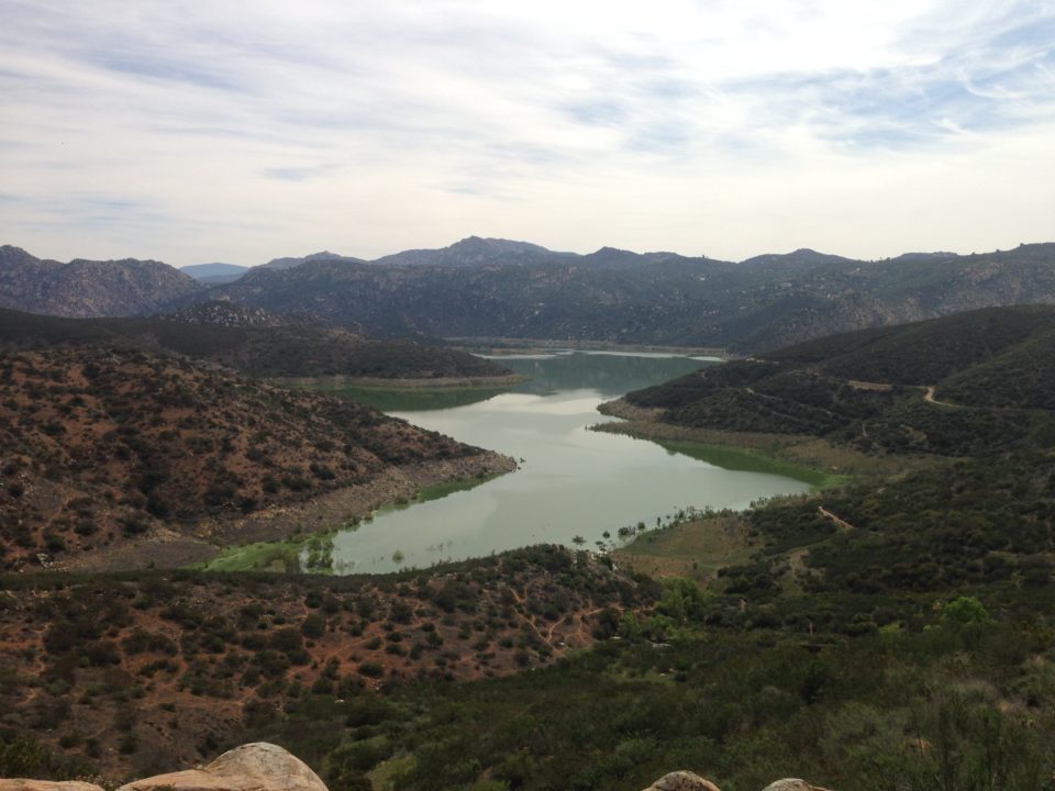 Oakoasis Sunday Stroll 1