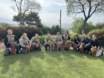 Animal Services staff group photo with rescued dogs