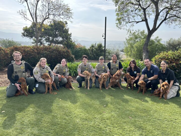 Animal Services staff group photo with rescued dogs