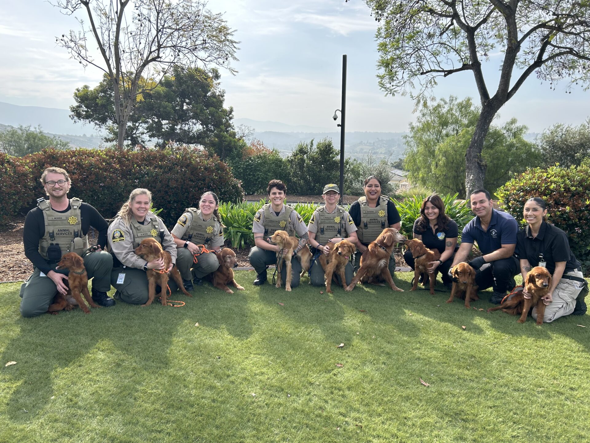 Animal Services staff group photo with rescued dogs