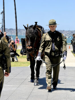 Riderless Horse being led through ceremony
