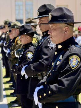 Row of various police agencies