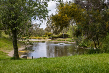 San Dieguito County Park
