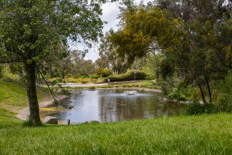 San Dieguito County Park