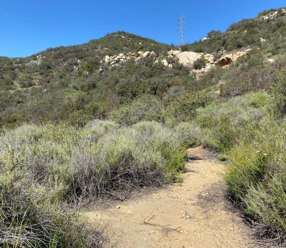 Open Space near Mount Olympus County Preserve