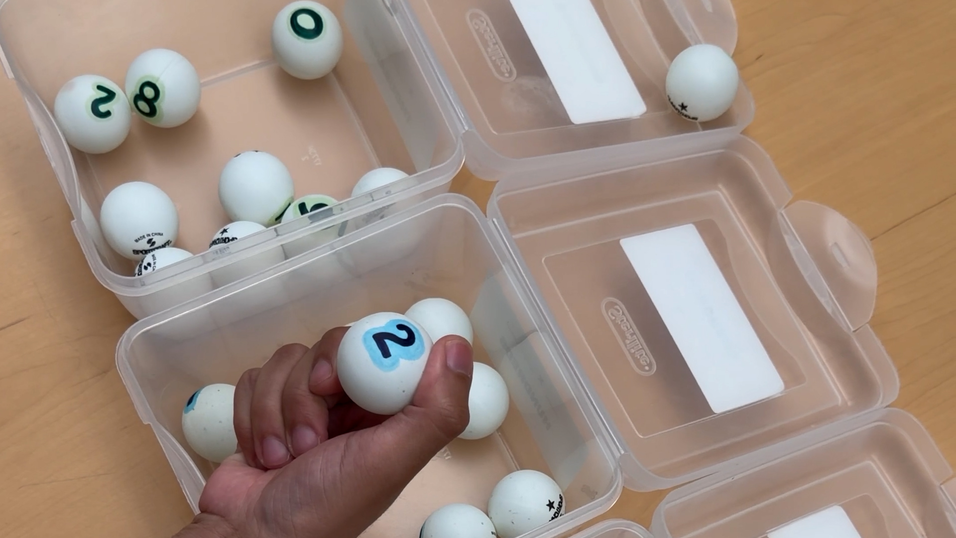 Hand holding numbered ping pong ball.