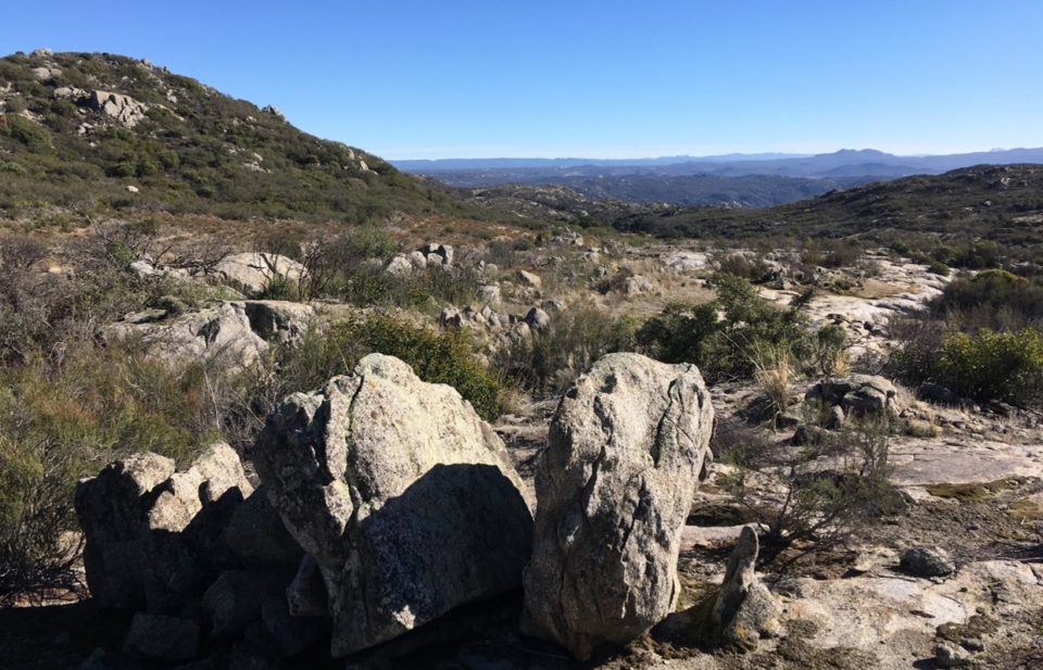 Star Ranch landscape