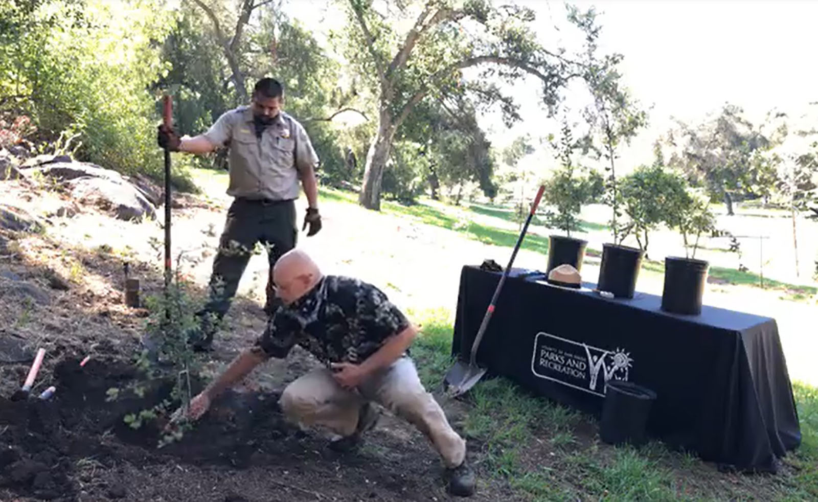 Men planting a tree