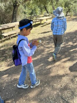 Small boy on nature hike